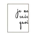 Picture of Je Ne Sais Quoi II _GroupedProduct_Rectangle_Portrait_Canvas_Framed_