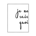 Picture of Je Ne Sais Quoi II _GroupedProduct_Rectangle_Portrait_Canvas_Framed_