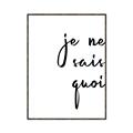 Picture of Je Ne Sais Quoi II _GroupedProduct_Rectangle_Portrait_Canvas_Framed_