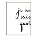 Picture of Je Ne Sais Quoi II _GroupedProduct_Rectangle_Portrait_Canvas_Framed_