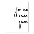 Picture of Je Ne Sais Quoi II _GroupedProduct_Rectangle_Portrait_Canvas_Framed_