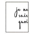 Picture of Je Ne Sais Quoi II _GroupedProduct_Rectangle_Portrait_Canvas_Framed_