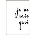 Picture of Je Ne Sais Quoi II _GroupedProduct_Rectangle_Portrait_Canvas_Framed_