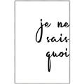 Picture of Je Ne Sais Quoi II _GroupedProduct_Rectangle_Portrait_Canvas_Framed_