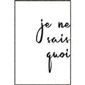 Picture of Je Ne Sais Quoi II _GroupedProduct_Rectangle_Portrait_Canvas_Framed_
