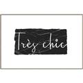 Picture of Tres Chic III _GroupedProduct_Rectangle_Landscape_Canvas_Framed_