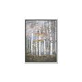 Picture of White Birches In Fall _GroupedProduct_Rectangle_Portrait_Canvas_Framed_