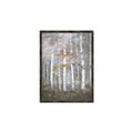 Picture of White Birches In Fall _GroupedProduct_Rectangle_Portrait_Canvas_Framed_
