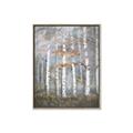 Picture of White Birches In Fall _GroupedProduct_Rectangle_Portrait_Canvas_Framed_