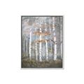 Picture of White Birches In Fall _GroupedProduct_Rectangle_Portrait_Canvas_Framed_