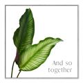 Picture of And So Together II _GroupedProduct_Square_Canvas_Framed_
