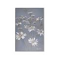 Picture of Daisy Flower _GroupedProduct_Rectangle_Portrait_Canvas_Framed_