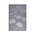 Picture of Daisy Flower _GroupedProduct_Rectangle_Portrait_Canvas_Framed_