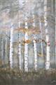 Picture of White Birches In Fall _GroupedProduct_Rectangle_Portrait_Unframed_Print_Only_