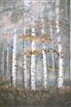 Picture of White Birches In Fall _GroupedProduct_Rectangle_Portrait_Unframed_Print_Only_