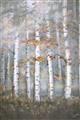 Picture of White Birches In Fall _GroupedProduct_Rectangle_Portrait_Unframed_Print_Only_