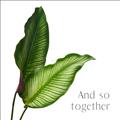 Picture of And So Together II _GroupedProduct_Square_Unframed_Print_Only_