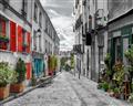 Picture of  Store In Paris _GroupedProduct_Rectangle_Landscape_Photography _GroupedProduct_Rectangle_Landscape_Unframed_Print_Only_