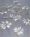Picture of Daisy Flower _GroupedProduct_Rectangle_Portrait_Unframed_Print_Only_