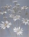 Picture of Daisy Flower _GroupedProduct_Rectangle_Portrait_Unframed_Print_Only_