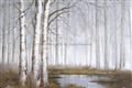 Picture of Foggy Trees _GroupedProduct_Rectangle_Landscape_Unframed_Print_Only_