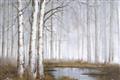 Picture of Foggy Trees _GroupedProduct_Rectangle_Landscape_Unframed_Print_Only_