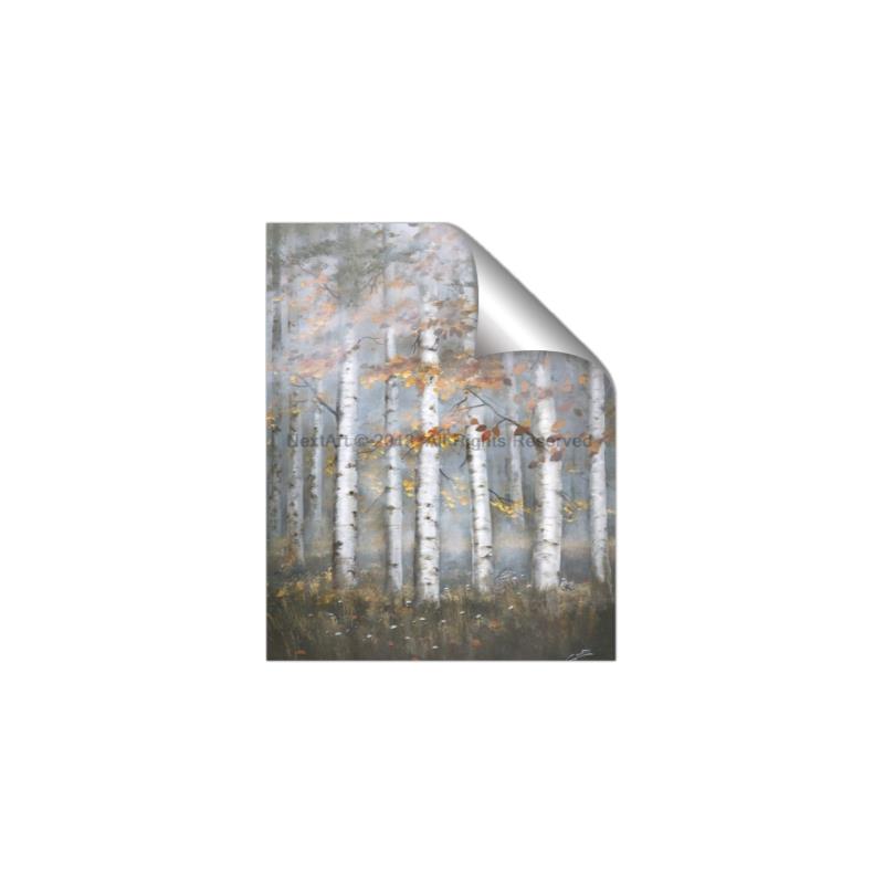 Picture of White Birches In Fall _GroupedProduct_Rectangle_Portrait_Unframed_Print_Only_