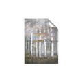 Picture of White Birches In Fall _GroupedProduct_Rectangle_Portrait_Unframed_Print_Only_
