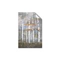 Picture of White Birches In Fall _GroupedProduct_Rectangle_Portrait_Unframed_Print_Only_