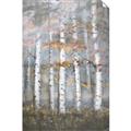 Picture of White Birches In Fall _GroupedProduct_Rectangle_Portrait_Unframed_Print_Only_