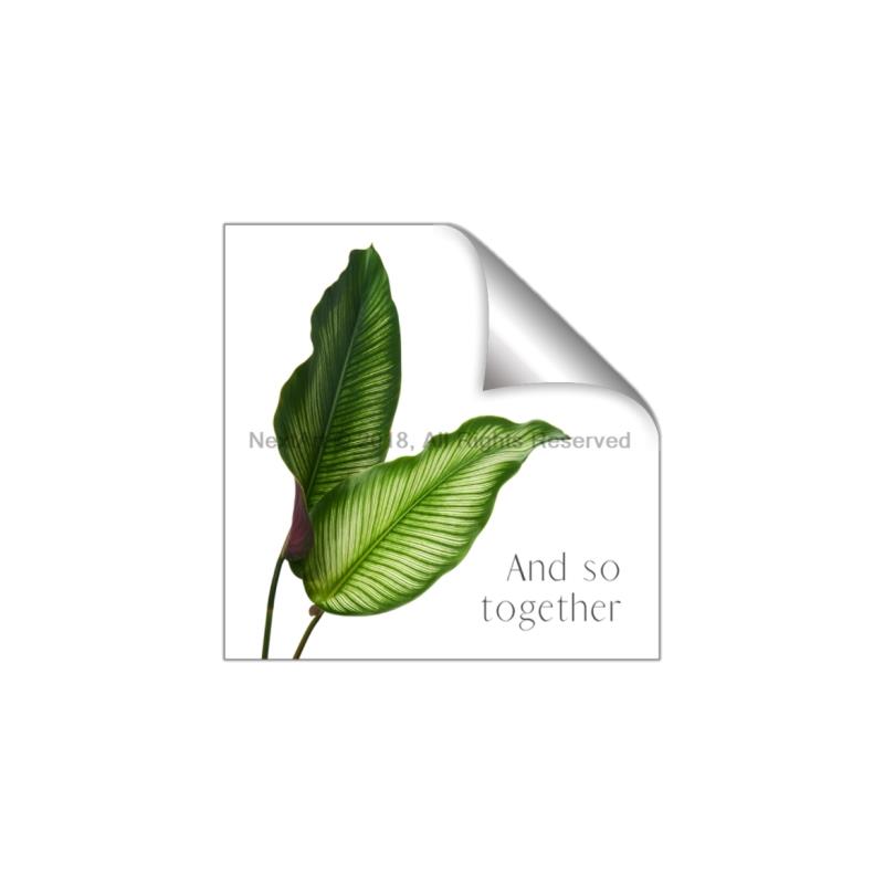 Picture of And So Together II _GroupedProduct_Square_Unframed_Print_Only_