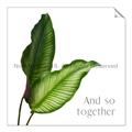 Picture of And So Together II _GroupedProduct_Square_Unframed_Print_Only_