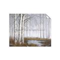 Picture of Foggy Trees _GroupedProduct_Rectangle_Landscape_Unframed_Print_Only_