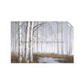 Picture of Foggy Trees _GroupedProduct_Rectangle_Landscape_Unframed_Print_Only_