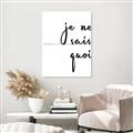 Picture of Je Ne Sais Quoi II _GroupedProduct_Rectangle_Portrait_Unframed_Print_Only_