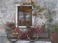 Picture of Red Bike _GroupedProduct_Rectangle_Landscape_Unframed_Print_Only_