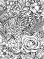 Picture of Detailed Floral Sketch _GroupedProduct_Rectangle_Portrait_Unframed_Print_Only_