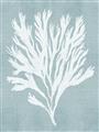 Picture of Coral Leaves II _GroupedProduct_Rectangle_Portrait_Unframed_Print_Only_