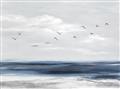 Picture of Birds in the sky _GroupedProduct_Rectangle_Landscape_Unframed_Print_Only_
