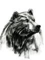 Picture of Sketched Bear _GroupedProduct_Rectangle_Portrait_Unframed_Print_Only_