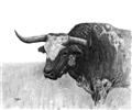 Picture of Big Cattle  _GroupedProduct_Rectangle_Landscape_Unframed_Print_Only_