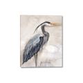 Picture of Blue Egret _GroupedProduct_Rectangle_Portrait_Canvas_
