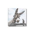 Picture of Donkey time _GroupedProduct_Square_Canvas_
