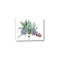 Picture of Succulent Group _GroupedProduct_Rectangle_Landscape_Canvas_