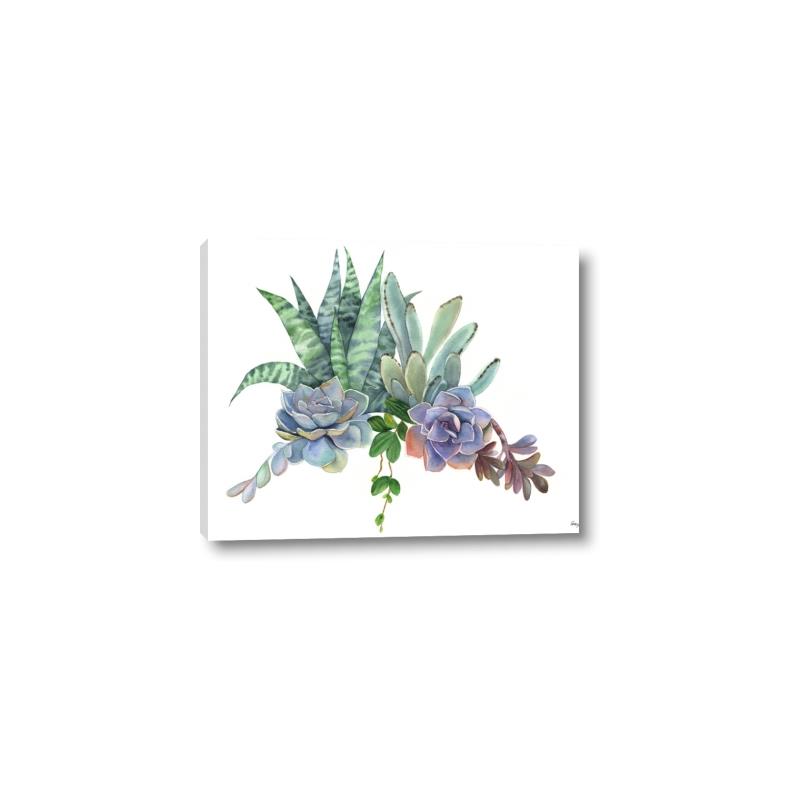Picture of Succulent Group _GroupedProduct_Rectangle_Landscape_Canvas_
