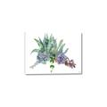 Picture of Succulent Group _GroupedProduct_Rectangle_Landscape_Canvas_