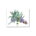 Picture of Succulent Group _GroupedProduct_Rectangle_Landscape_Canvas_
