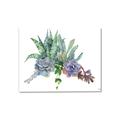 Picture of Succulent Group _GroupedProduct_Rectangle_Landscape_Canvas_