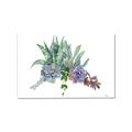 Picture of Succulent Group _GroupedProduct_Rectangle_Landscape_Canvas_