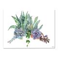 Picture of Succulent Group _GroupedProduct_Rectangle_Landscape_Canvas_